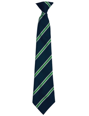Harris Academy Purley Clip On Tie - Green (Yrs 7-8)